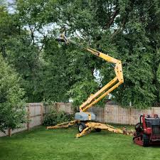 Best Hazardous Tree Removal  in Meyers, CA