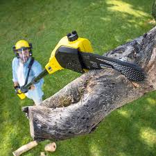 Best Sod Installation  in Meyers, CA